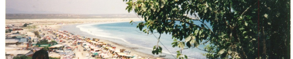 Vista a Playa Grande