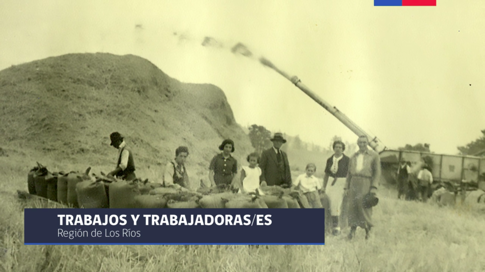 Región de Los Ríos: Trabajos y trabajadores/as Región de Los Ríos: Trabajos y trabajadores/as