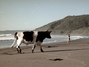 Playa La Misión