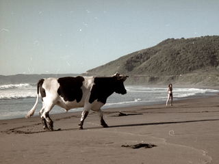 Playa La Misión