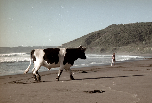 Playa La Misión