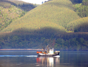 Paseo por la costa