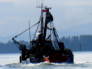 Comuna de Valdivia