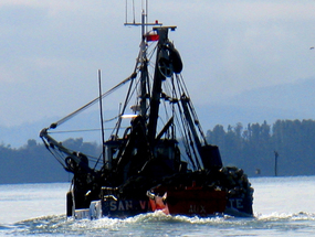 Comuna de Valdivia