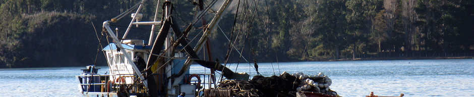 Río Valdivia Río Valdivia