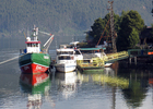 Comuna de Valdivia