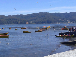 Desde caleta El Piojo hacia Mancera