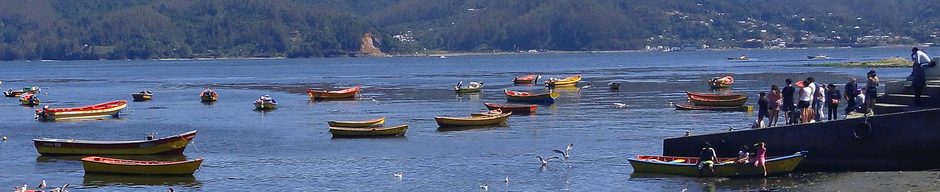 Desde caleta El Piojo