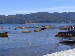 Desde caleta El Piojo