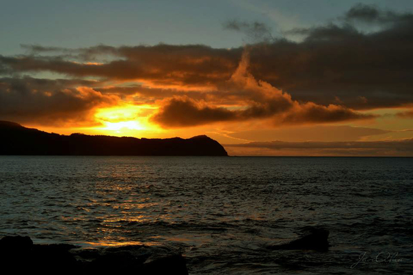 Atardecer en la Bahía de Niebla Atardecer en la Bahía de Niebla
