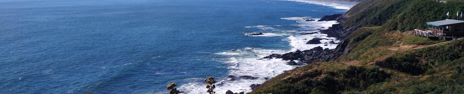 Playa Curiñanco