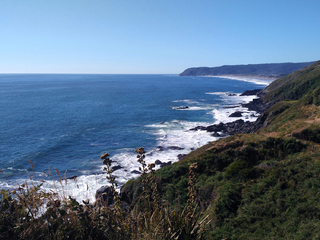 Playa Curiñanco