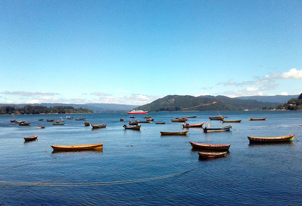 Caleta El Piojo