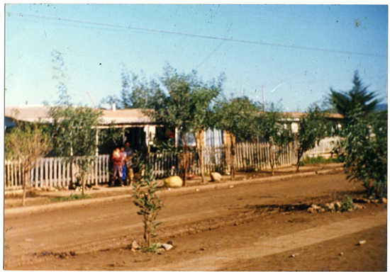 Calle Los Cóndores Calle Los Cóndores