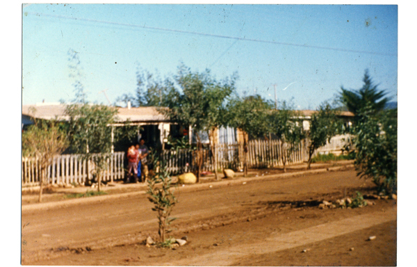 Calle Los Cóndores