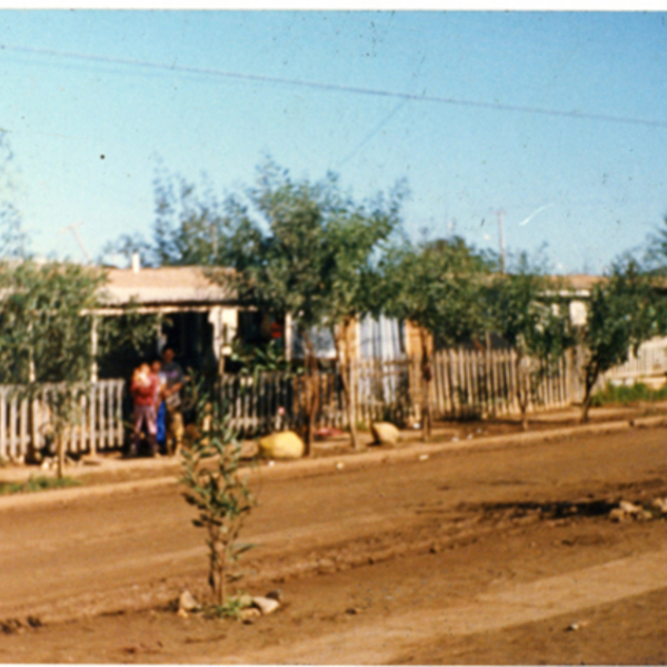 Calle Los Cóndores