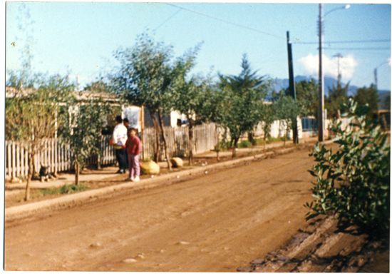 Calle Los Cóndores