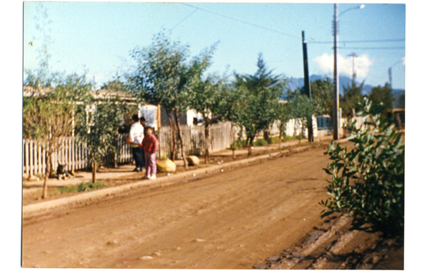 Calle Los Cóndores