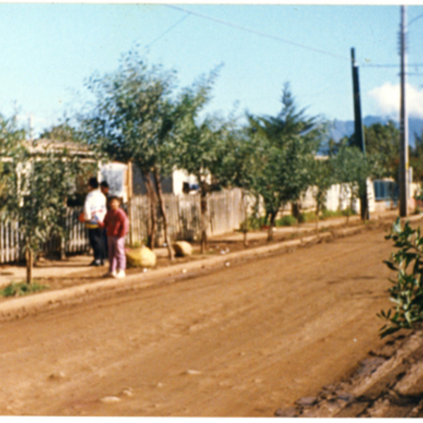 Calle Los Cóndores