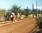 Calle Los Cóndores