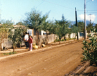 Calle Los Cóndores Calle Los Cóndores