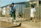 Niños Niños