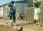 Niños Niños