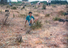 Compra del sitio en El Tabo