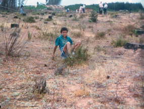 Compra del sitio en El Tabo