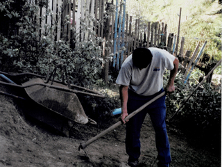 Haciendo el huerto