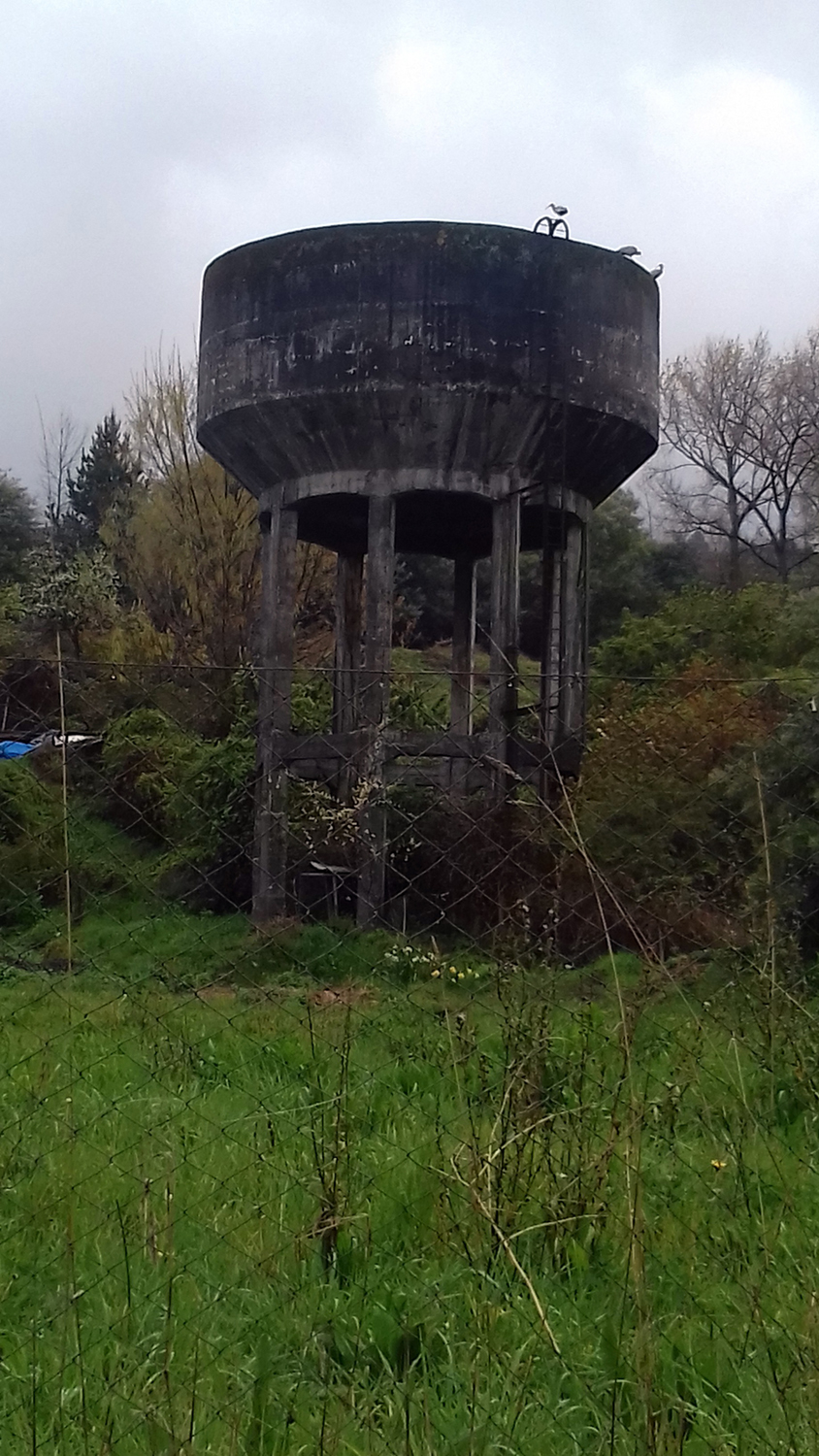 Copa de agua FFCC - Estación Lago Ranco Copa de agua FFCC - Estación Lago Ranco