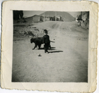 Niño Niño