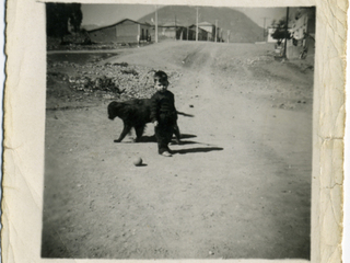 Niño Niño