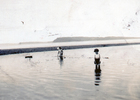 Niños jugando en la playa de Achao