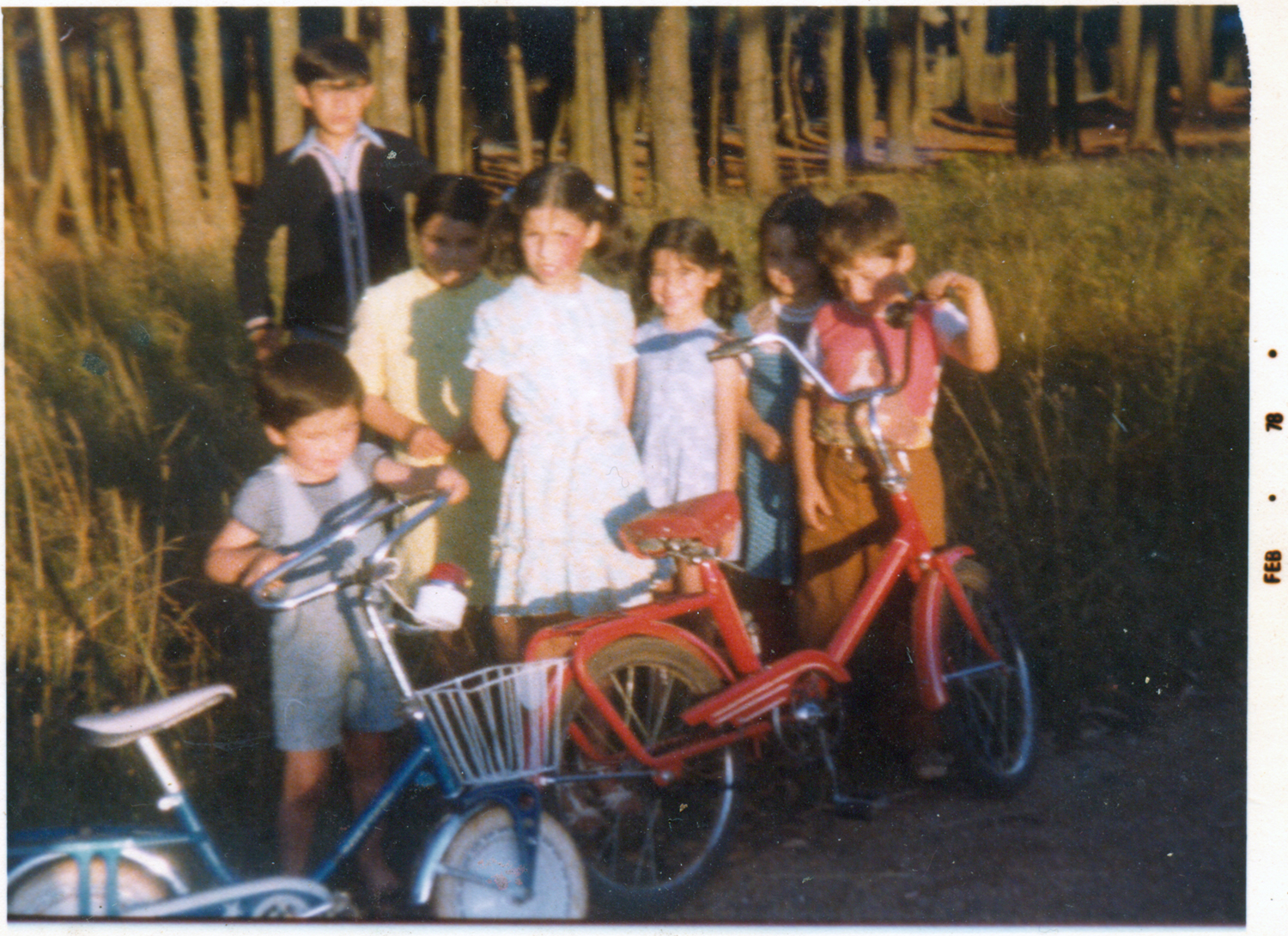 Niños Niños
