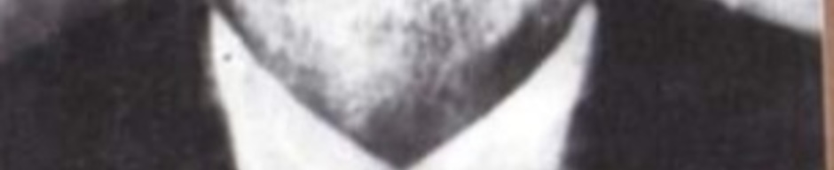 Nicomedes Díaz Opazo