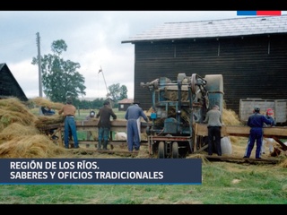 Región de Los Ríos. Saberes y oficios tradicionales