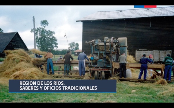 Región de Los Ríos. Saberes y oficios tradicionales