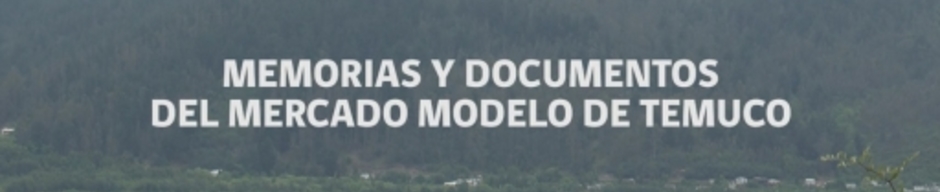 Documental "Memorias y documentos del Mercado Modelo de Temuco"