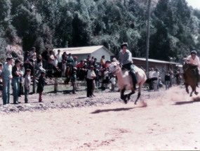 Carrera a la chilena