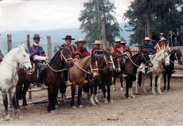 Fiestas patrias