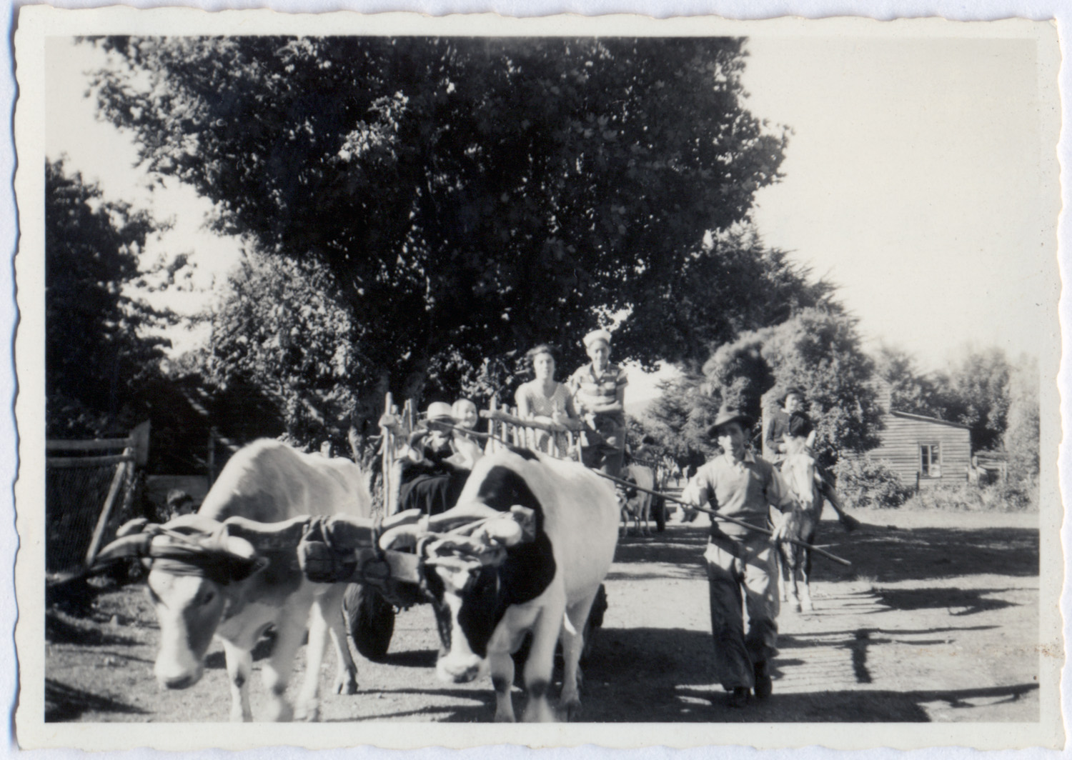 José Valdés y su carreta José Valdés y su carreta