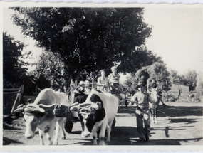 José Valdés y su carreta José Valdés y su carreta
