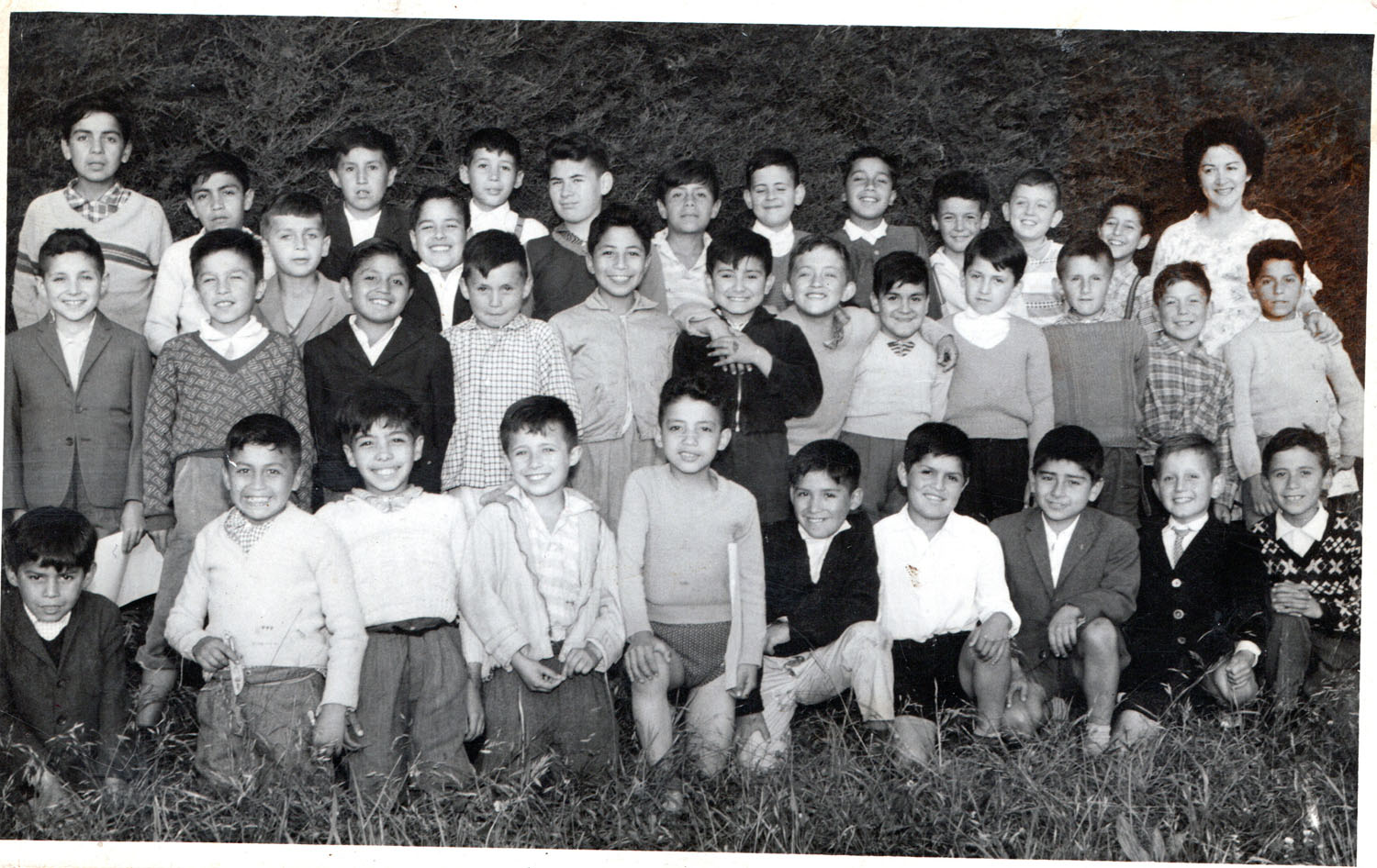 Compañeros de curso Compañeros de curso