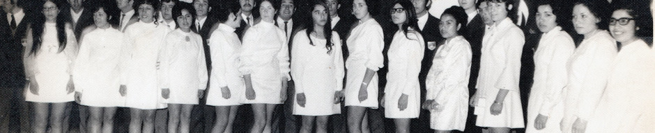 Licenciatura Licenciatura
