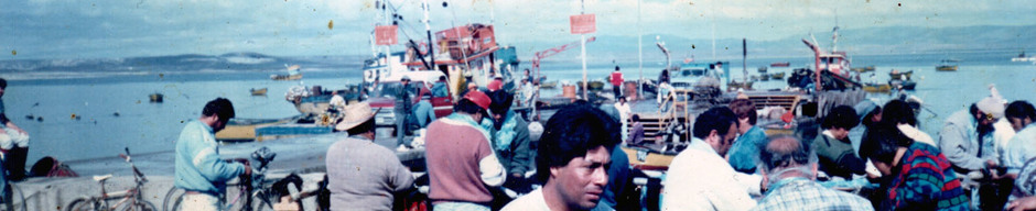 Faena de Chululos Faena de Chululos