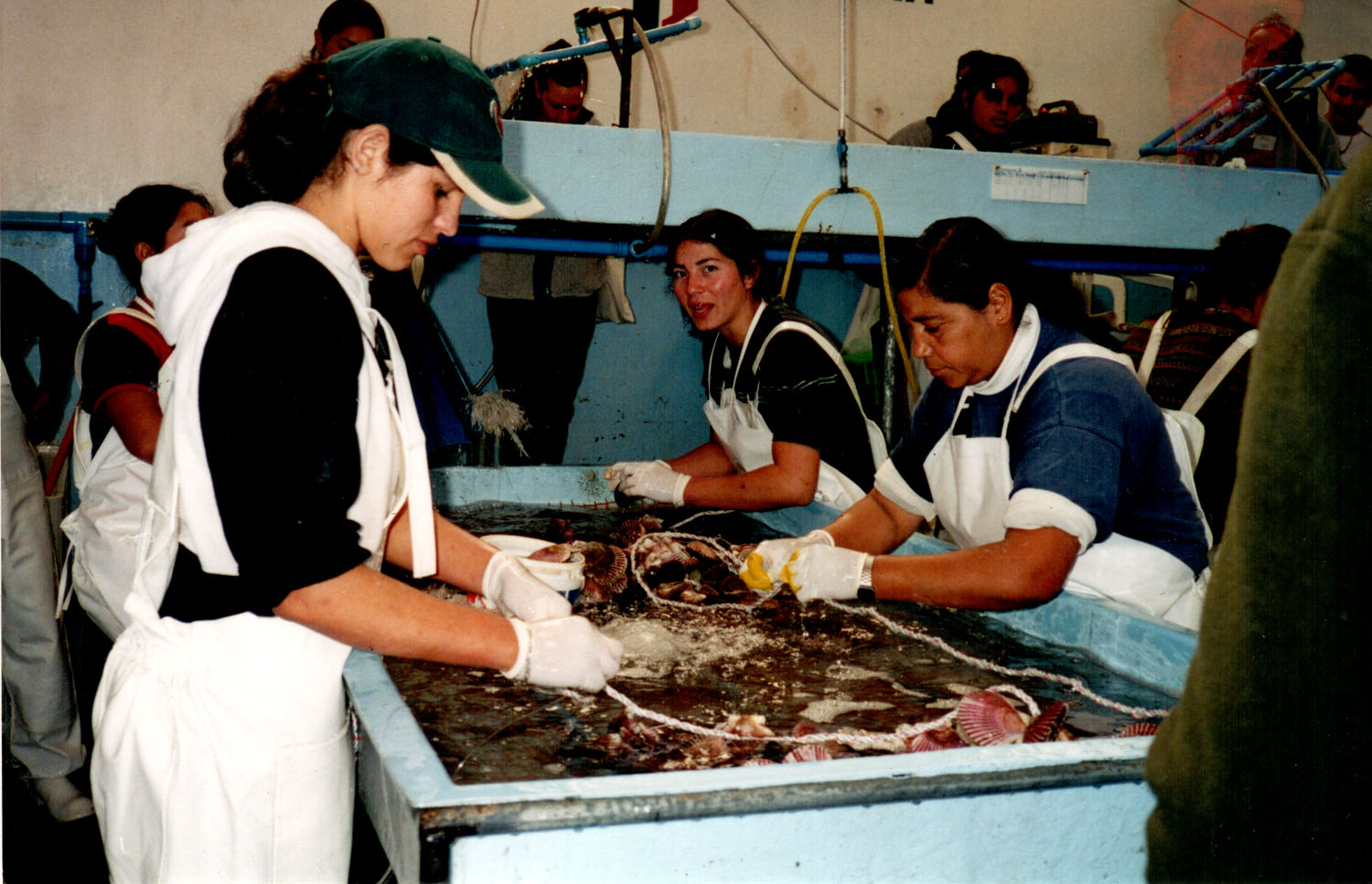 Mujeres Operarias de Cultivo Mujeres Operarias de Cultivo