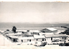 Centro de Tongoy Centro de Tongoy