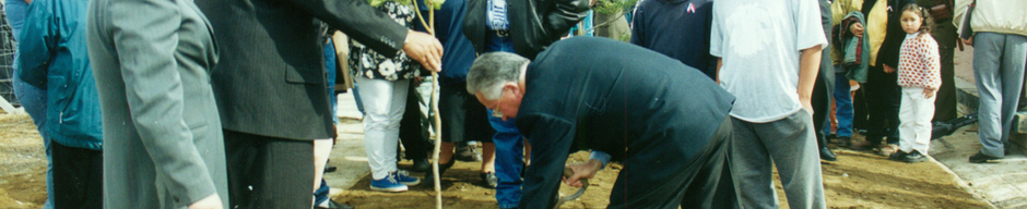 Plantación de árbol