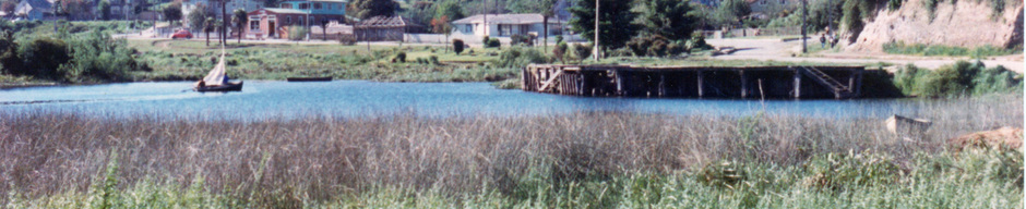 Bahía de Puerto Octay y muelle Chile